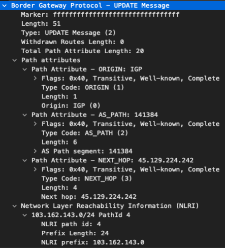 BGP update message with additional path details.