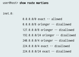 Screenshot of terminal showing route martians in IPv4